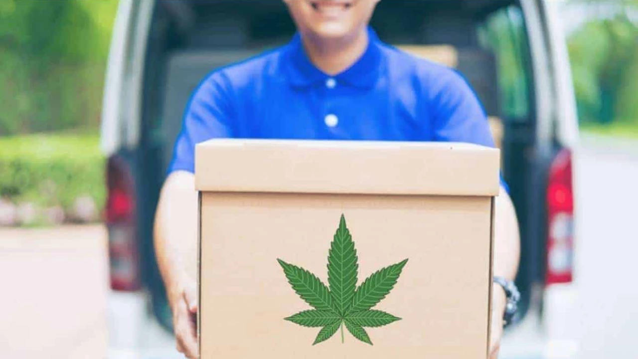 ¿Delivery de marihuana?: una importante app de viajes está analizando volcarse a este negocio