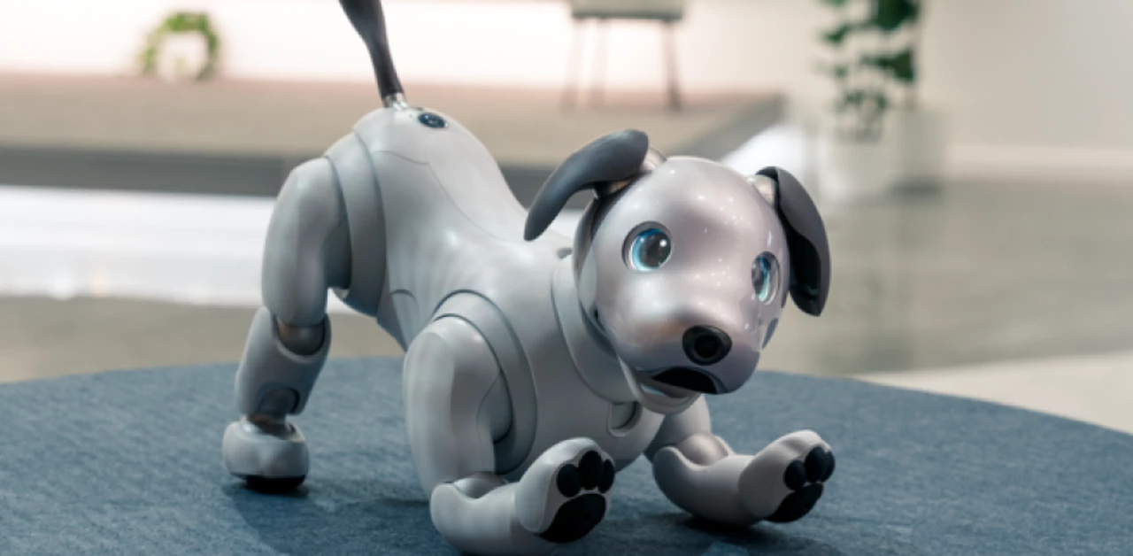 Una nueva oportunidad: Sony apuesta a la adopción de perros bots abandonados