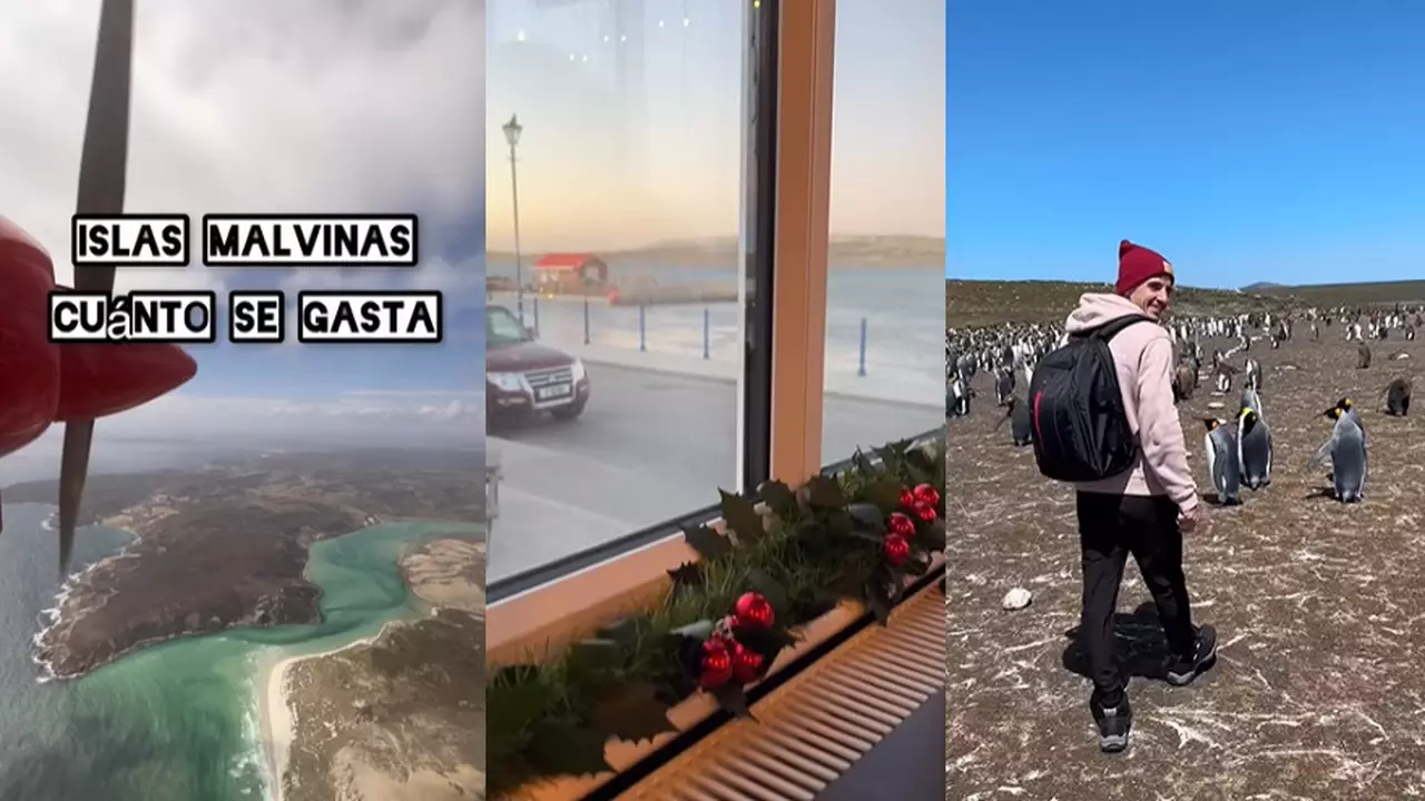 Visitó las Islas Malvinas y contó cuánta plata necesitás para estar una semana: se hizo viral