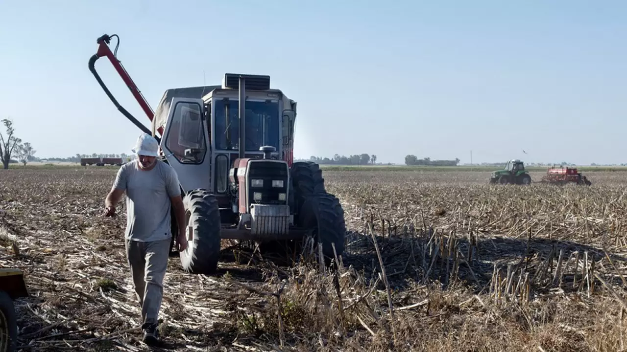 Por la sequía, desde el campo advierten sobre una caída de hasta u$s14.000 millones en exportaciones