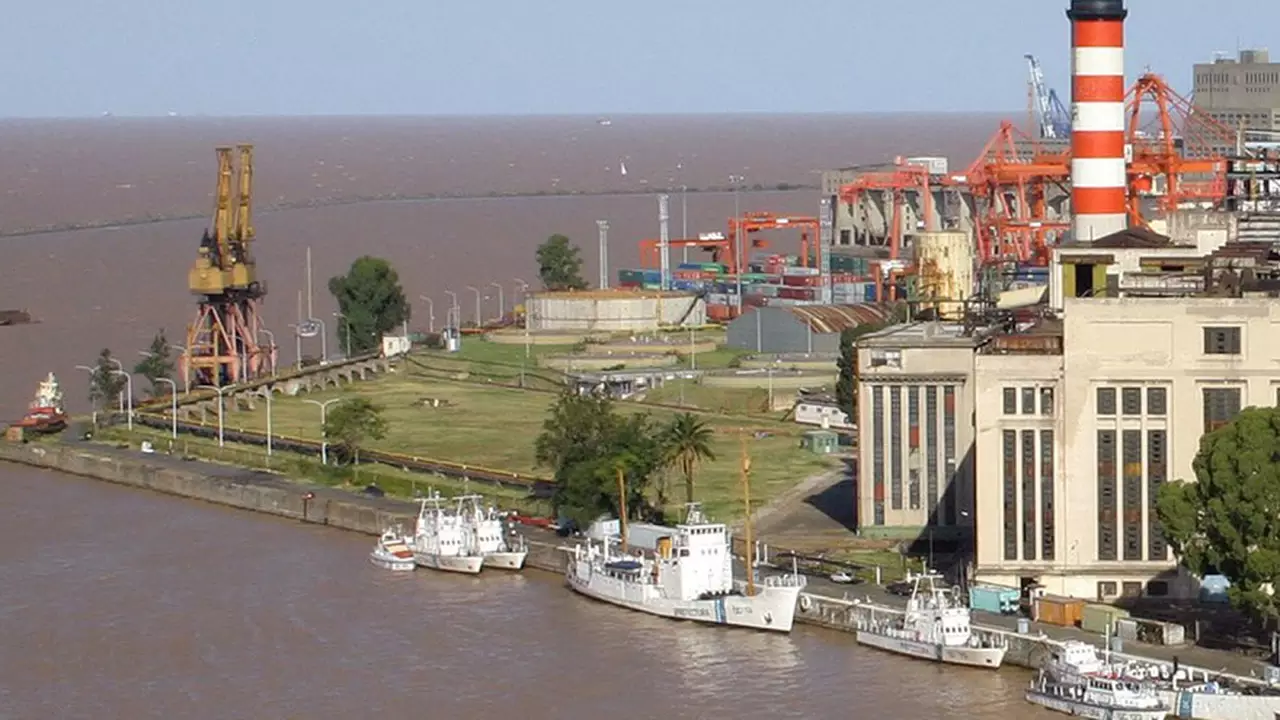 Cuáles son los planes de la mayor generadora eléctrica para "la era Milei"