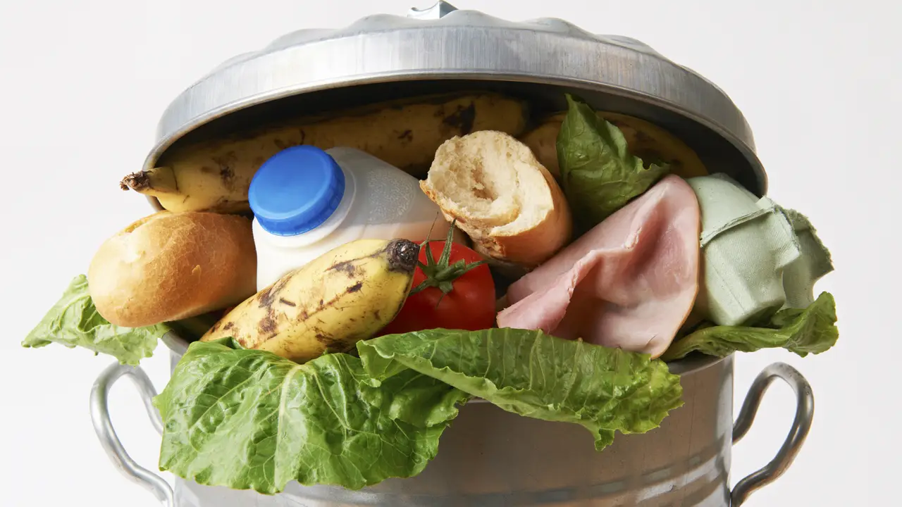 alimentos
