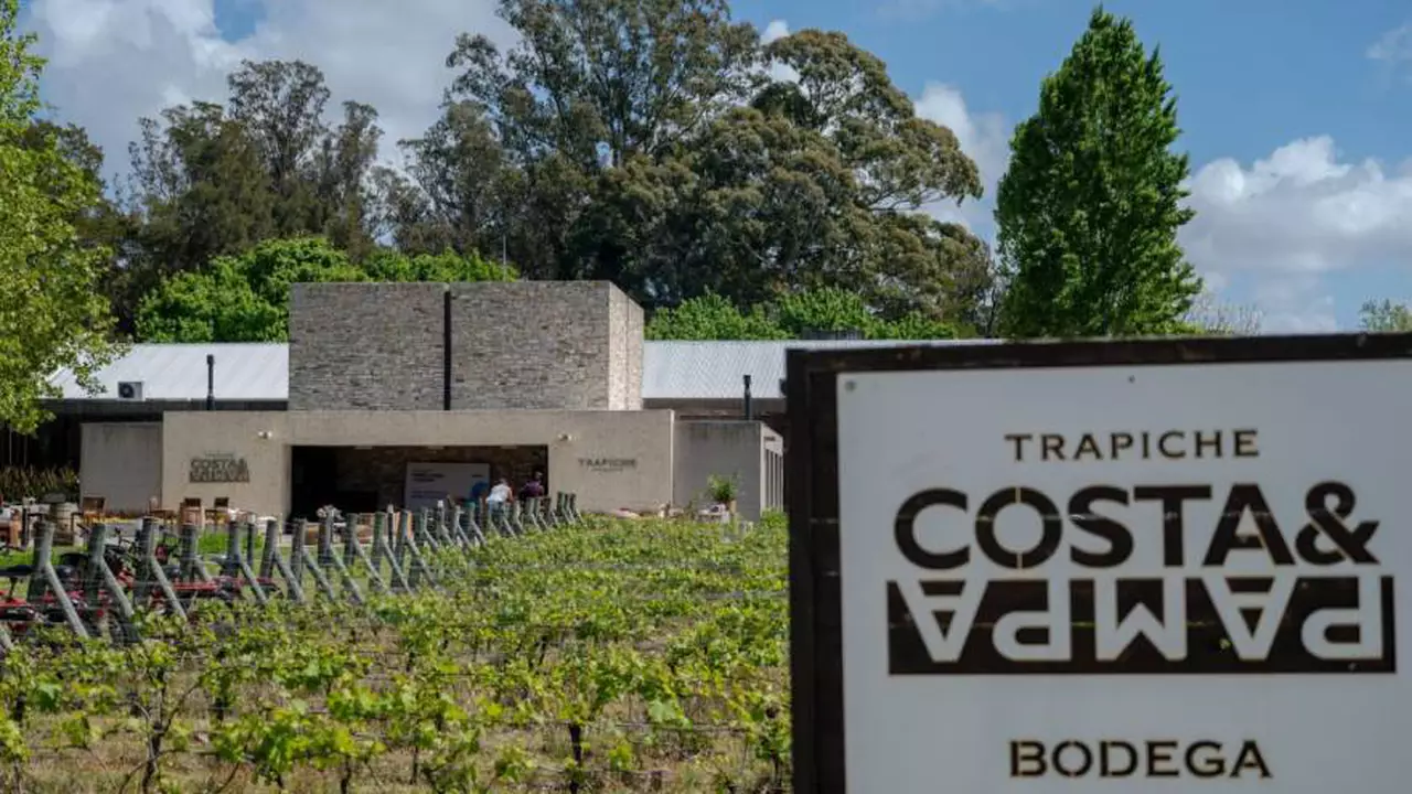 Bodega Trapiche Costa y Pampa, anfitriona del evento de networking del Coloquio de IDEA