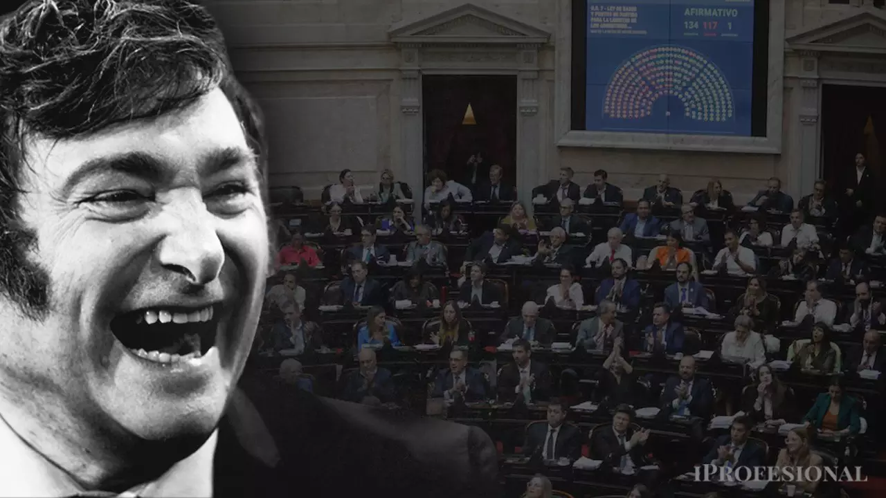 Javier Milei Cámara de Diputados