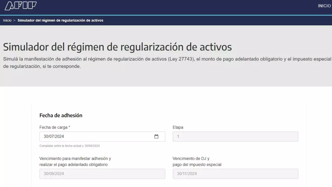 Blanqueo de capitales: la AFIP lanzó un simulador online