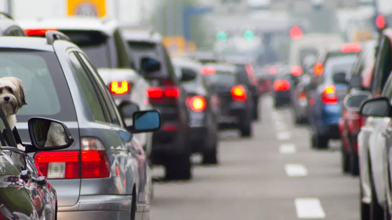 En un parque automotor que envejece, solo 7 marcas concentran la mayor cantidad de autos