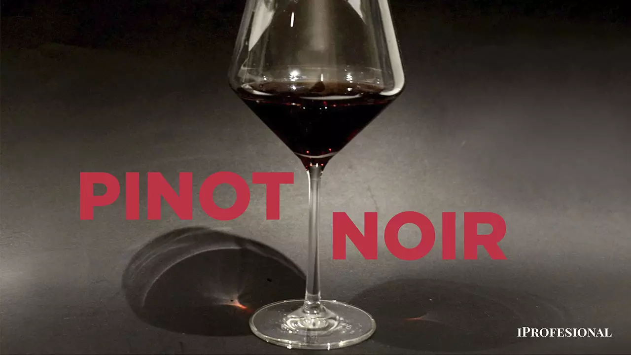 Vinos Pinot Noir