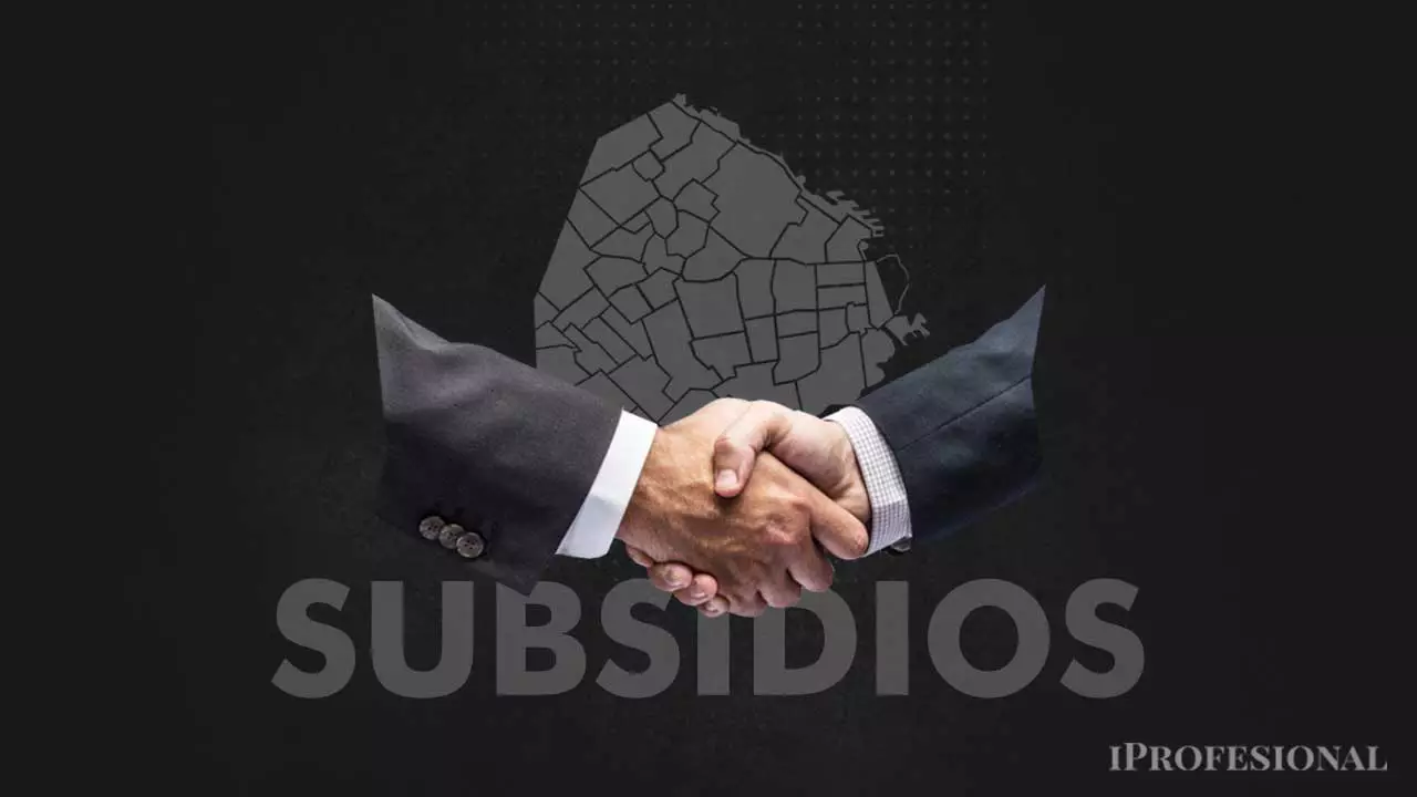 SUBSIDIOS