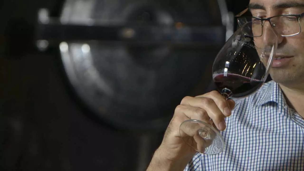 Enólogos ponen bajo la lupa los mitos más comunes sobre esta profesión y el vino