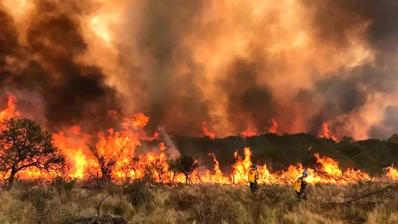 VIDEO: "No nos quedó ni un alambre", dice desconsolado un vecino cordobés tras el incendio