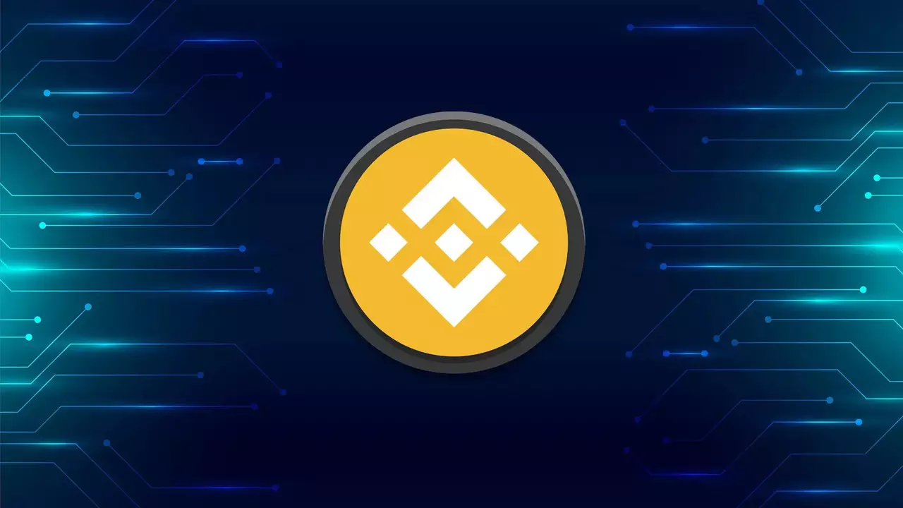 ¿Por qué BNB, la divisa digital de Binance, experimentó una importante caída?