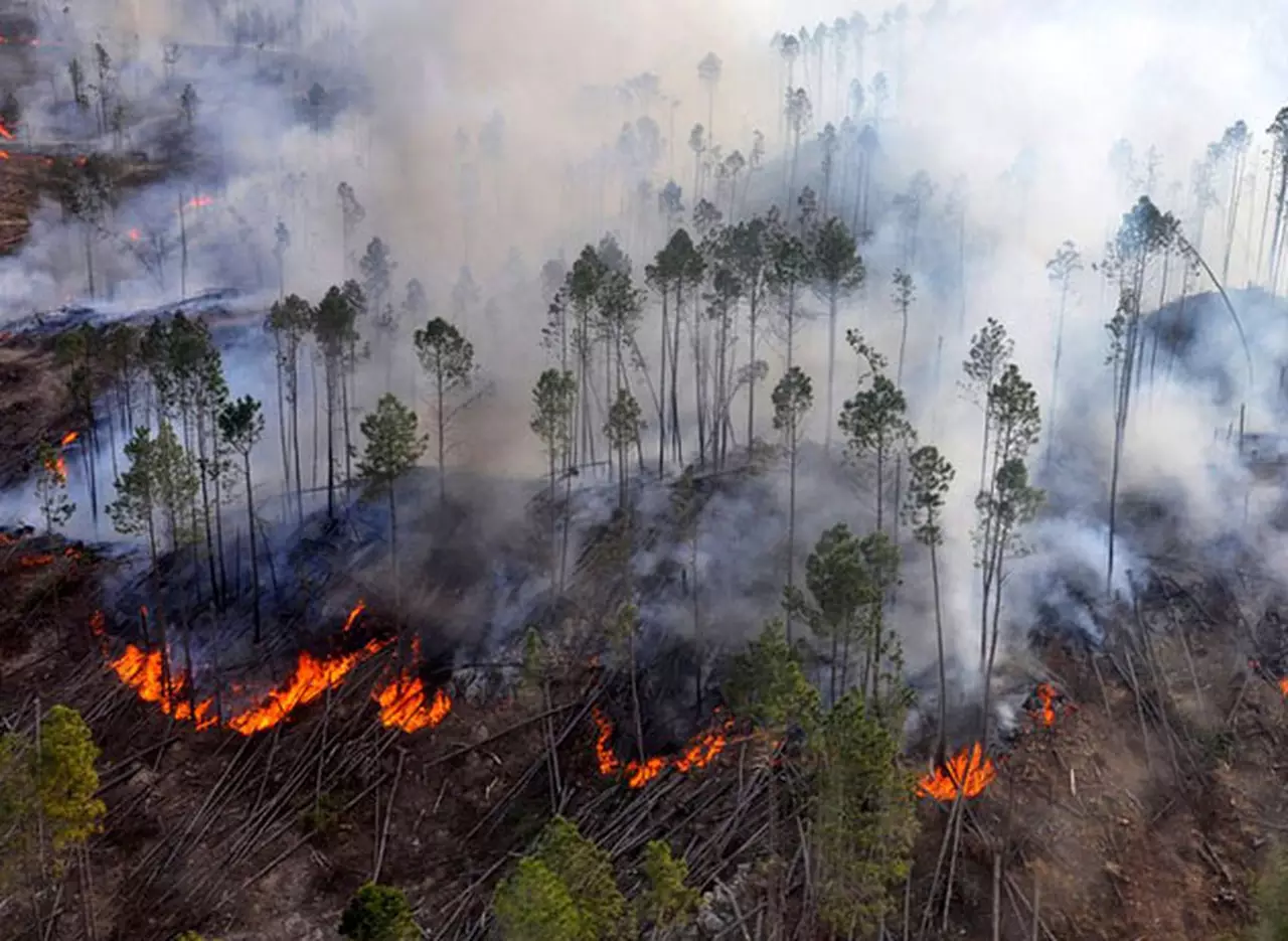 Incendios en Córdoba: hay 100 focos activos y ya hay 500 evacuados