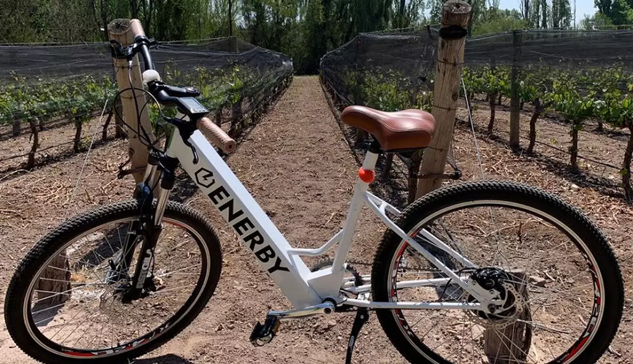 Cuánto cuestan las bicicletas eléctricas que promociona el Gobierno