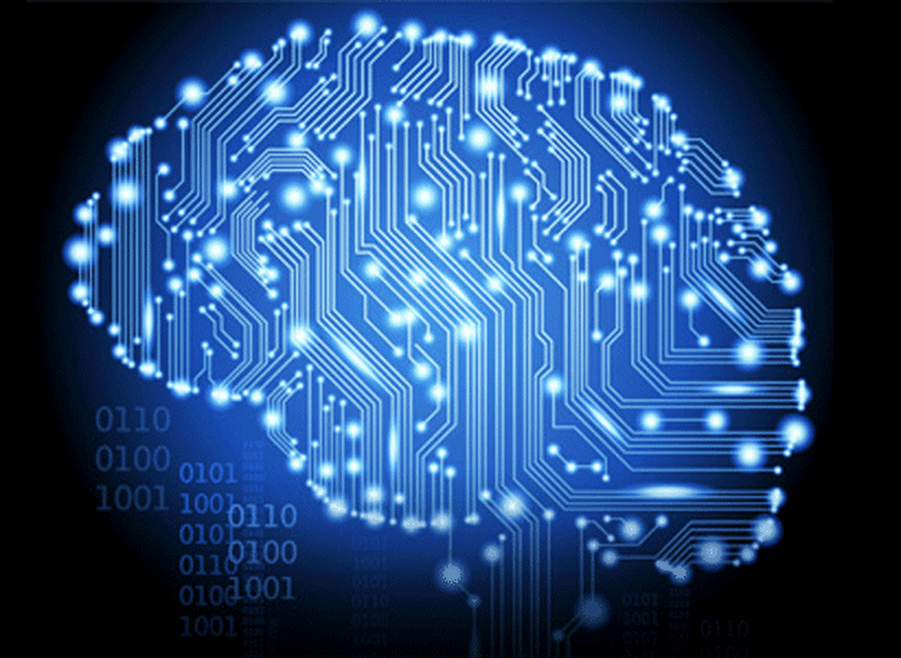 Siete cosas que deberí­a saber sobre el cerebro, el "órgano más tóxico del cuerpo"