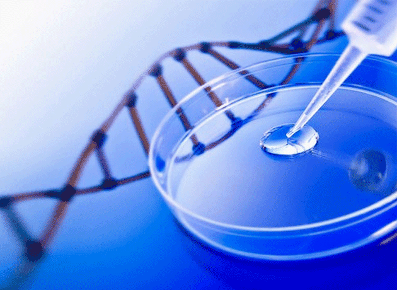 El ADN podrí­a ser patentado si así­ lo decide la Justicia de Estados Unidos