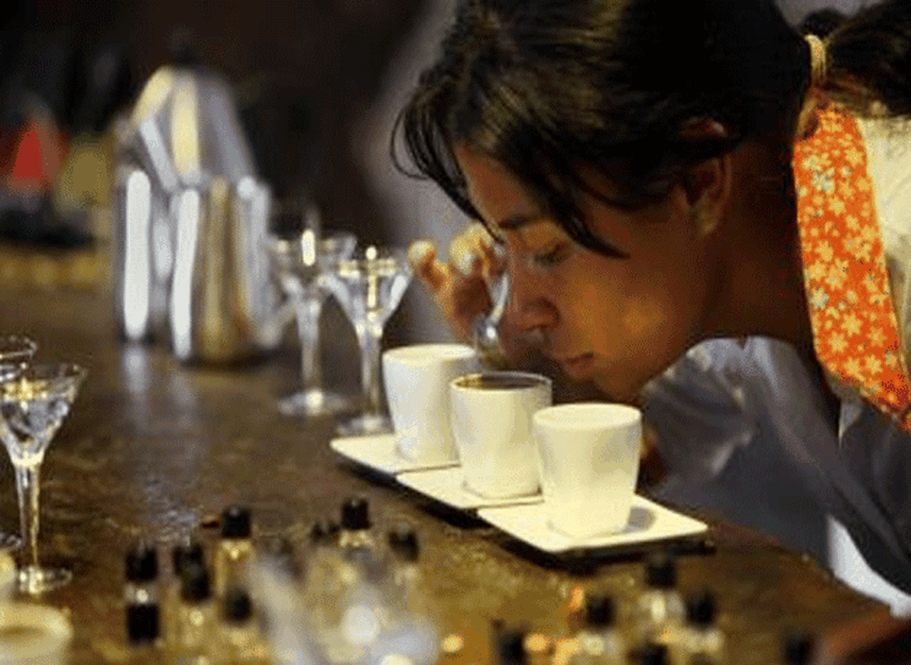 Brasil descubre en café proteí­na con efectos similares a los de la morfina
