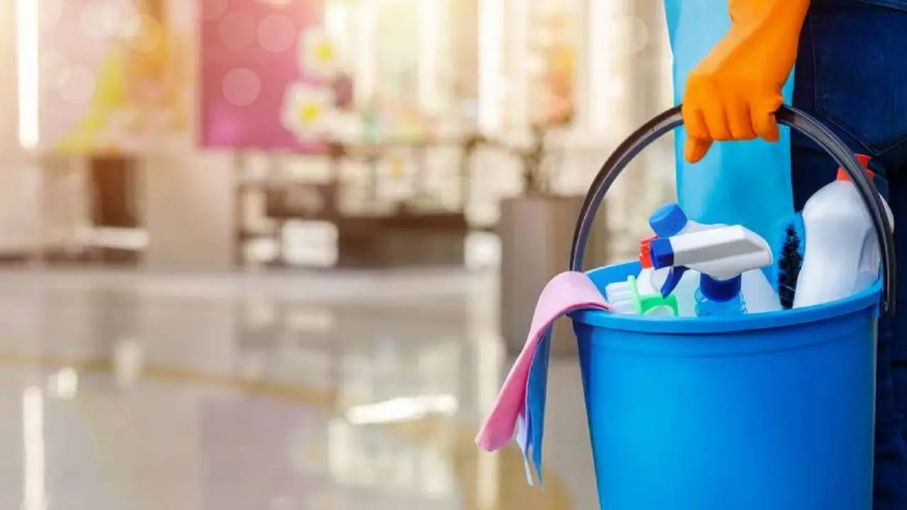 Empleada doméstica: comenzó a regir el DNU que introdujo un cambio clave, ¿cómo impacta en los empleadores?