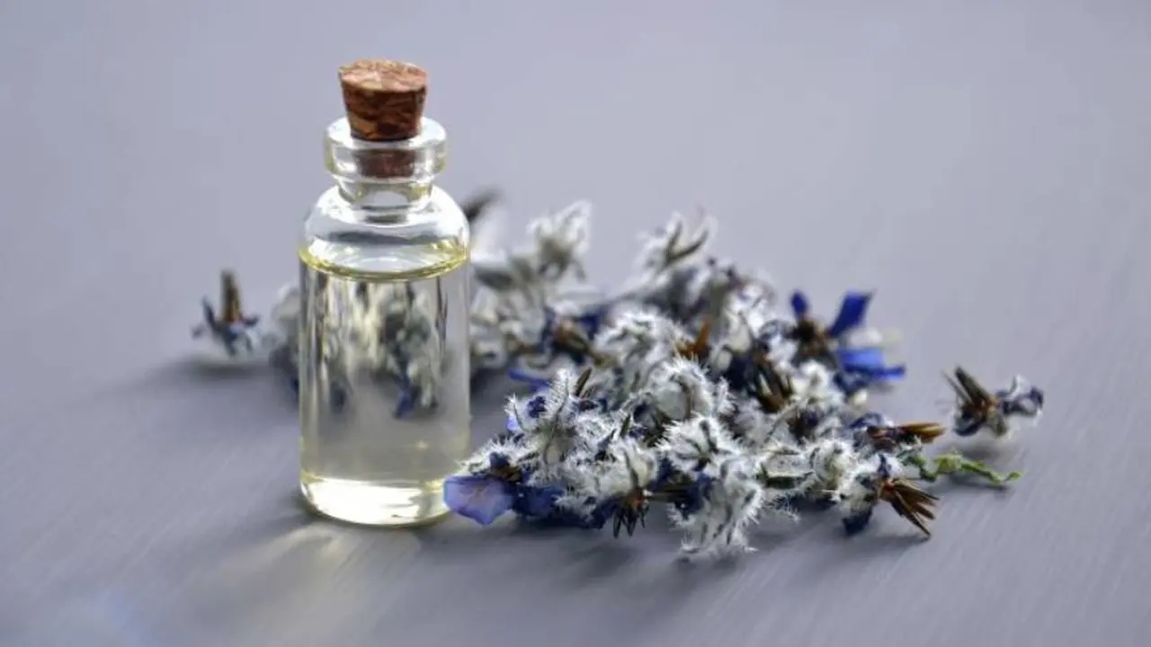 El creador de las flores de Bach se dio cuenta de que las flores podían hervirse para hacer los preparados