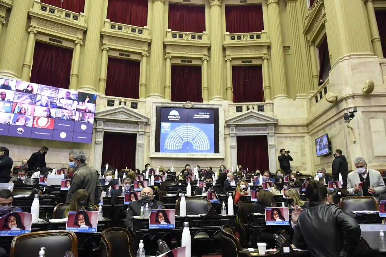 En las legislativas, se renueva la mitad de la cámara de Diputados y un tercio del Senado