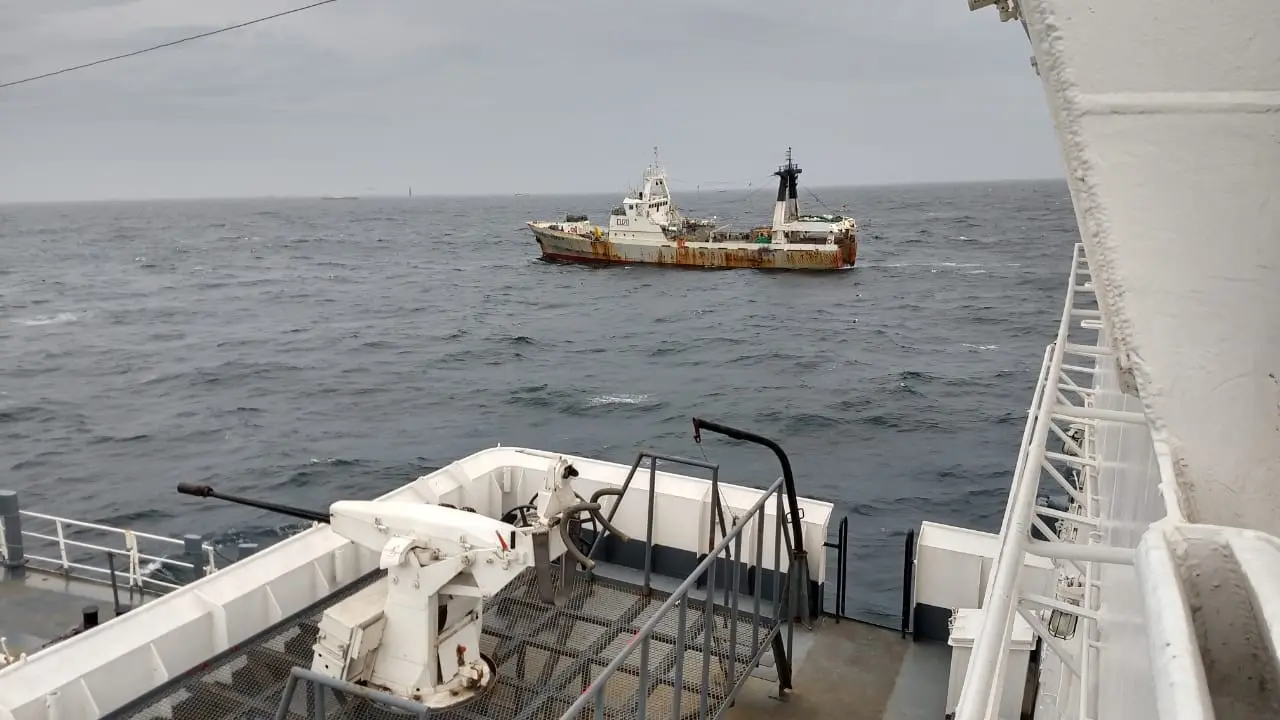 Además del calamar, los barcos chinos depredan incluso especies protegidas.