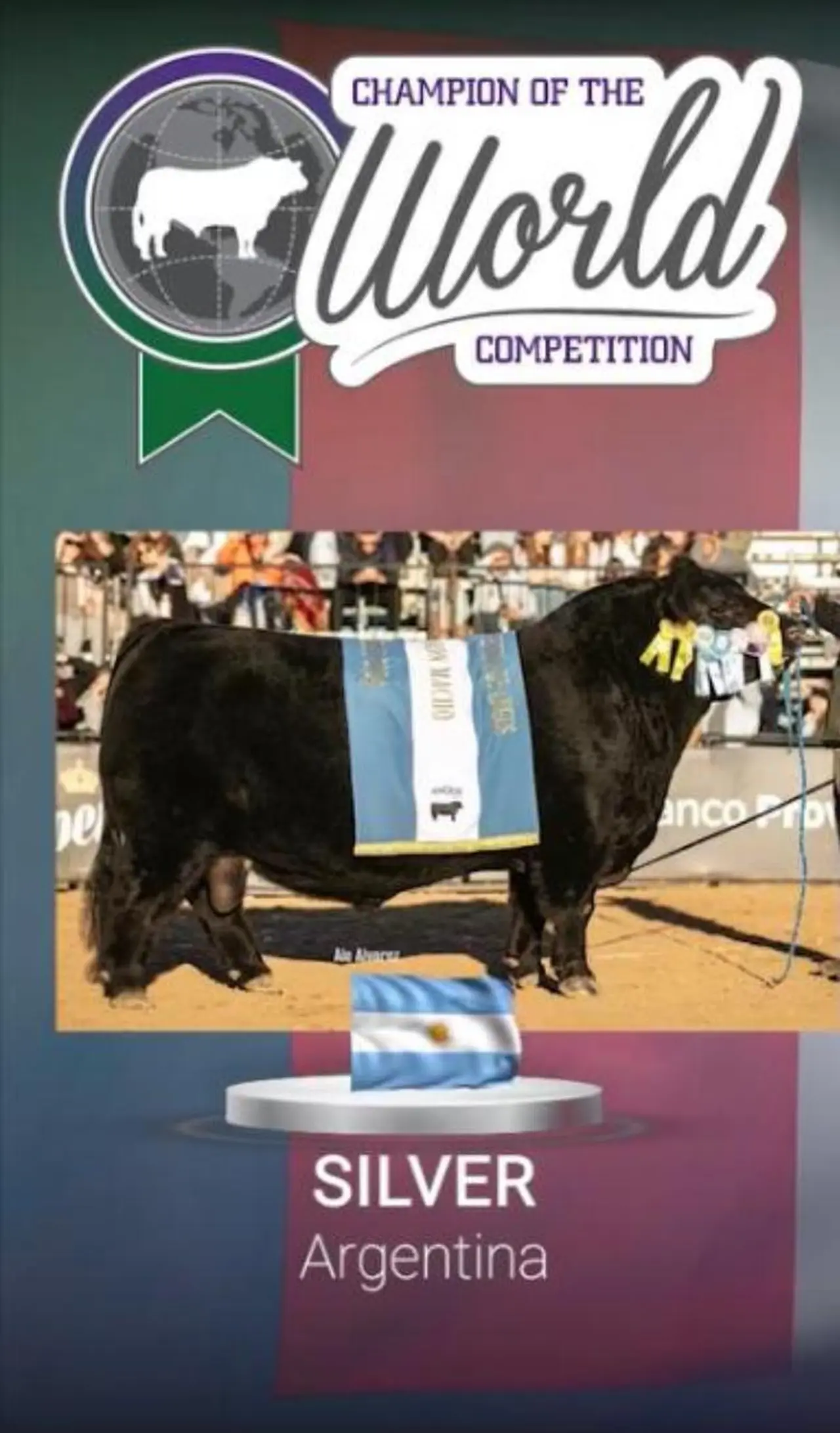 El toro centenario cierra 2024 con 