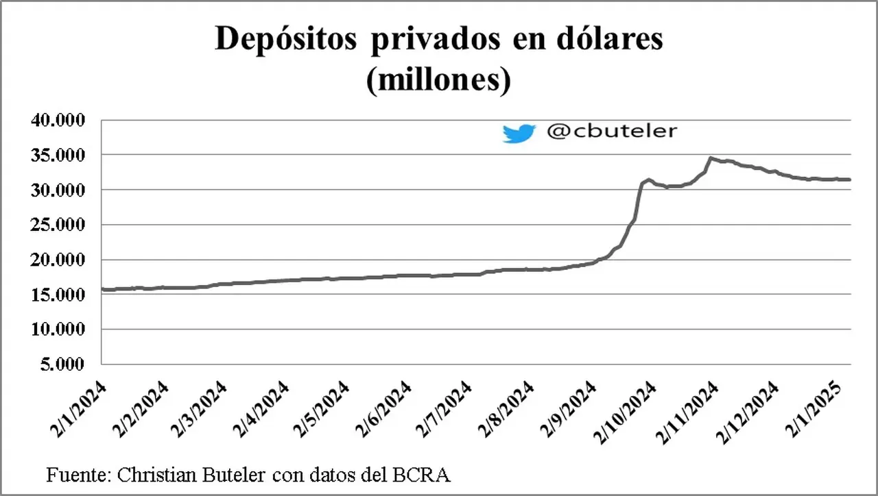 Fuente: Christian Buteler con datos del BCRA y el mercado