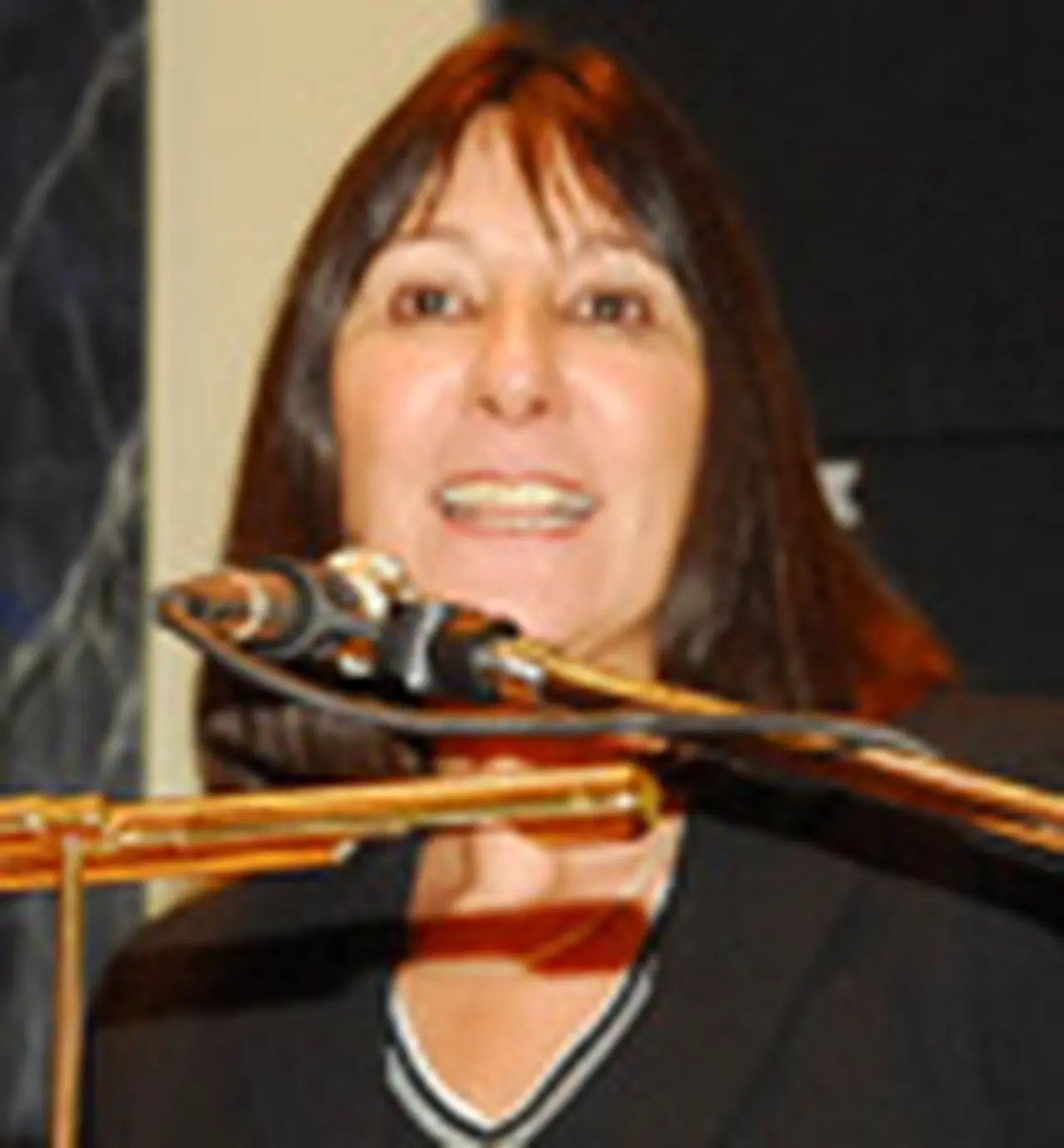 Miceli defendió el gasto público como inversión social