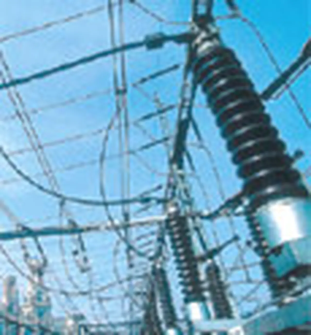 Edesur inauguró la mayor obra eléctrica desde la devaluación