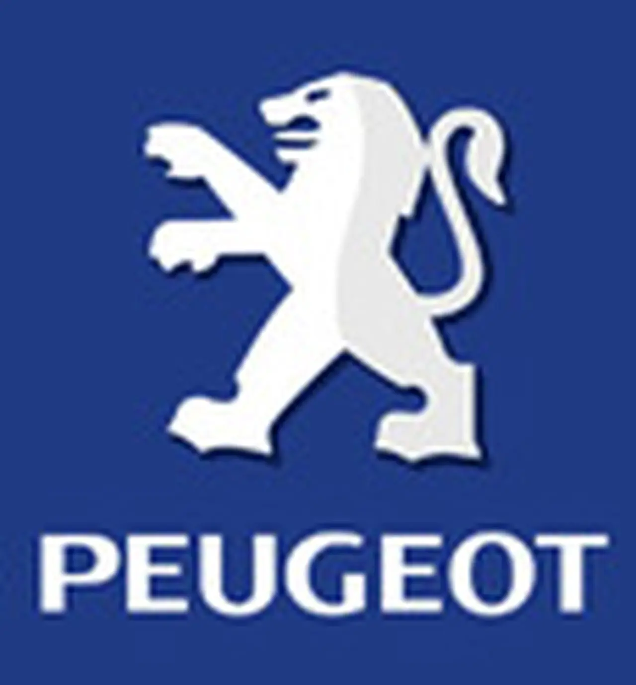 La dirección de Peugeot recaerí­a sobre un ex BAESA