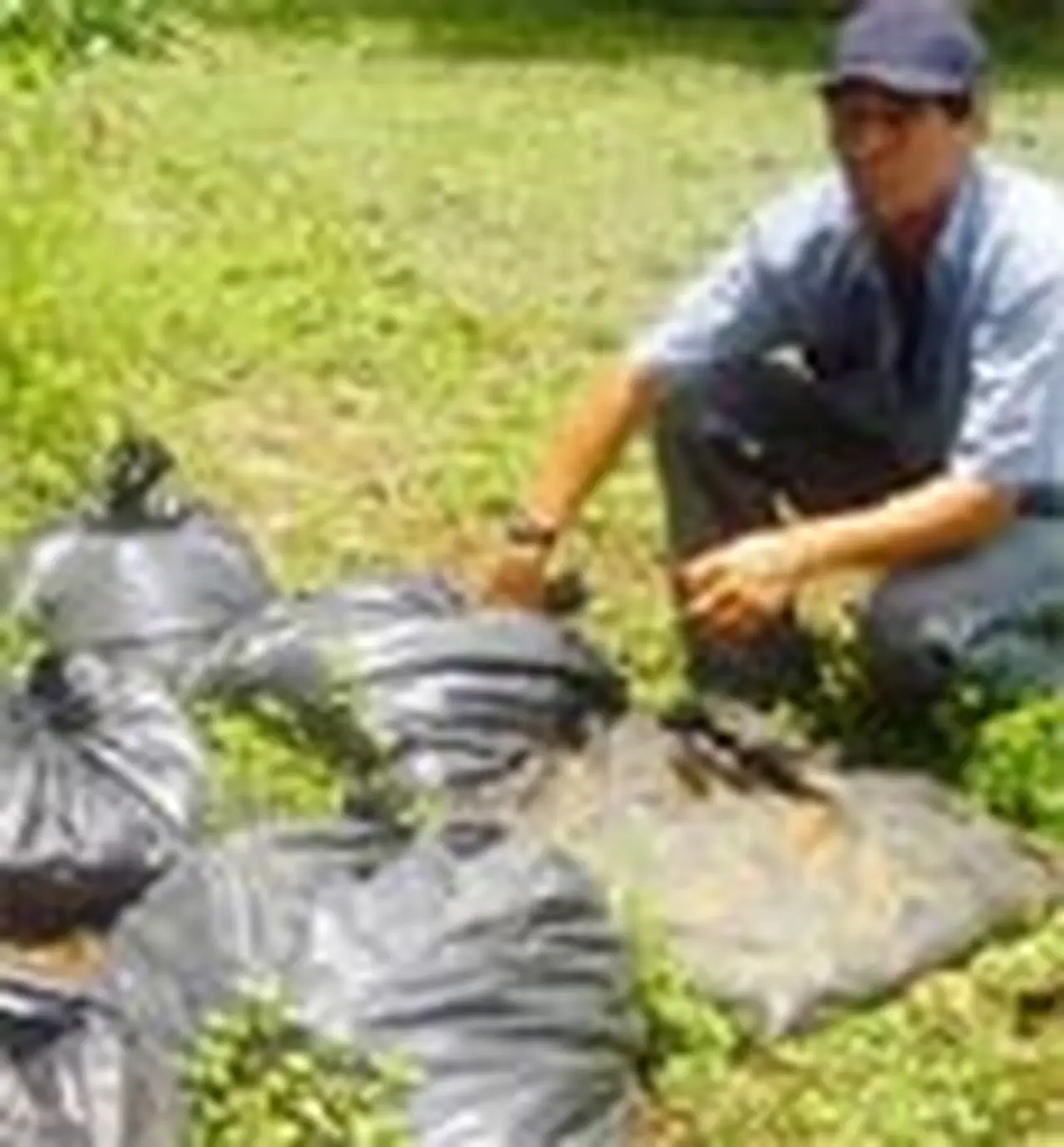 IVA: actualizan la nómina de fertilizantes con alí­cuota de 10,5%