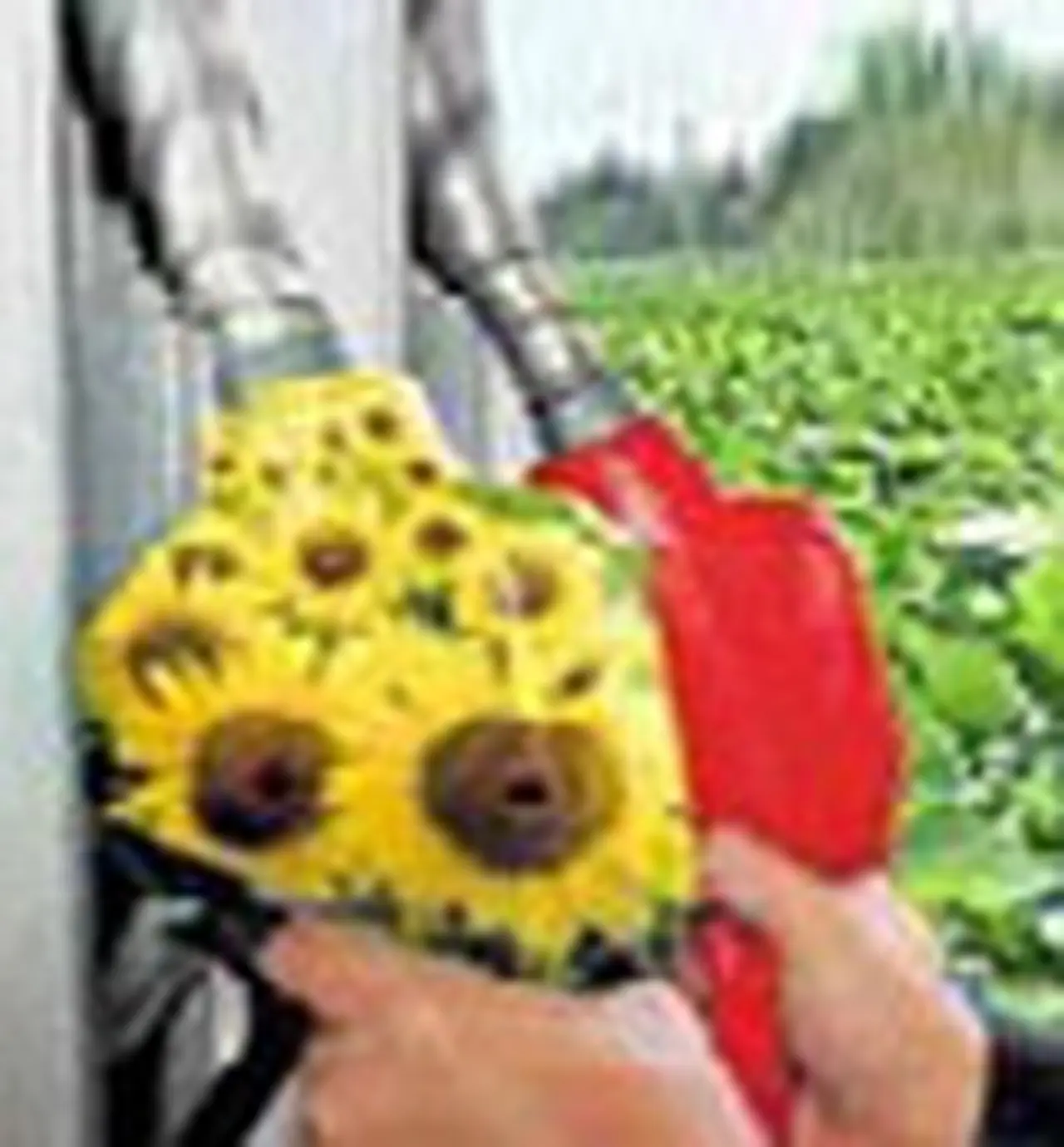 Biocombustibles: otra provincia ofrecerá beneficios impositivos