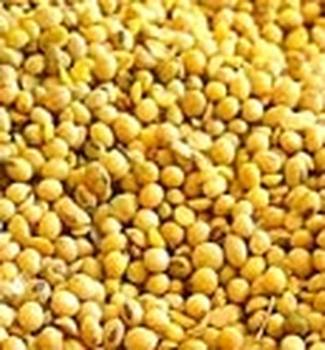 El precio de la soja alcanzó su mejor marca en tres años