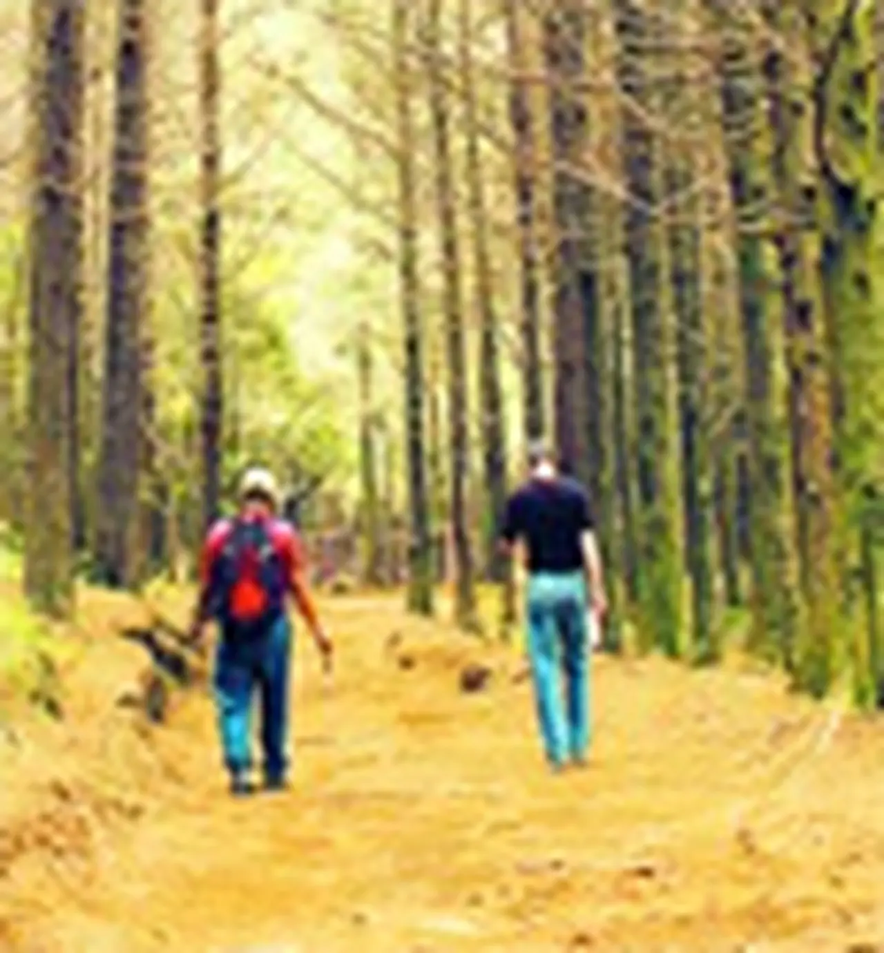 Ejecutivos aprenden de las aventuras deportivas extremas