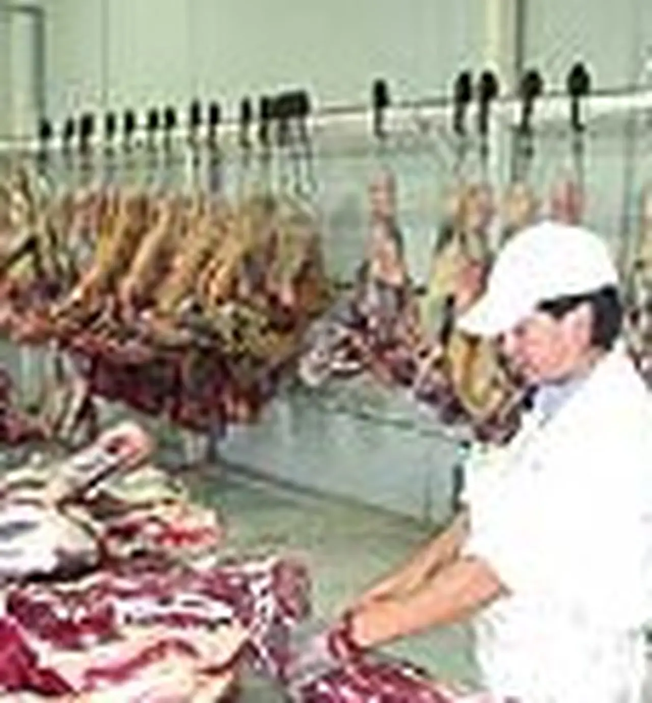 Marfrig cerró la compra de otros dos frigorí­ficos locales