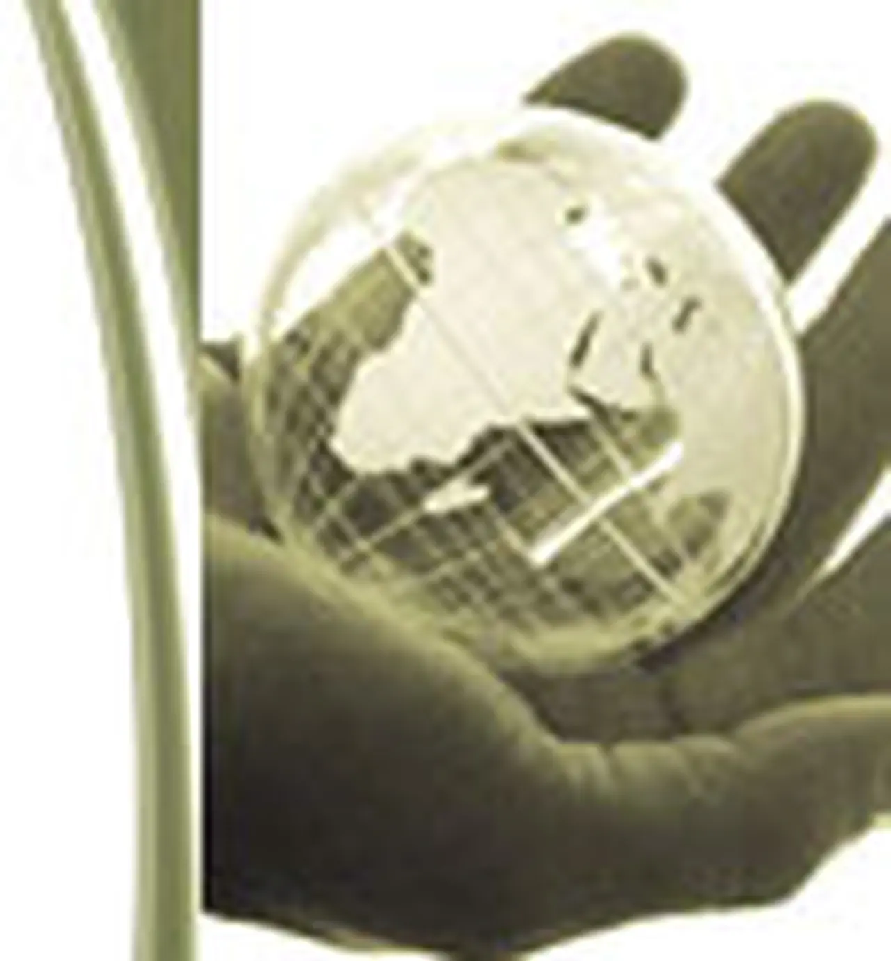 Rosario será sede de la Jornada Comex 2007