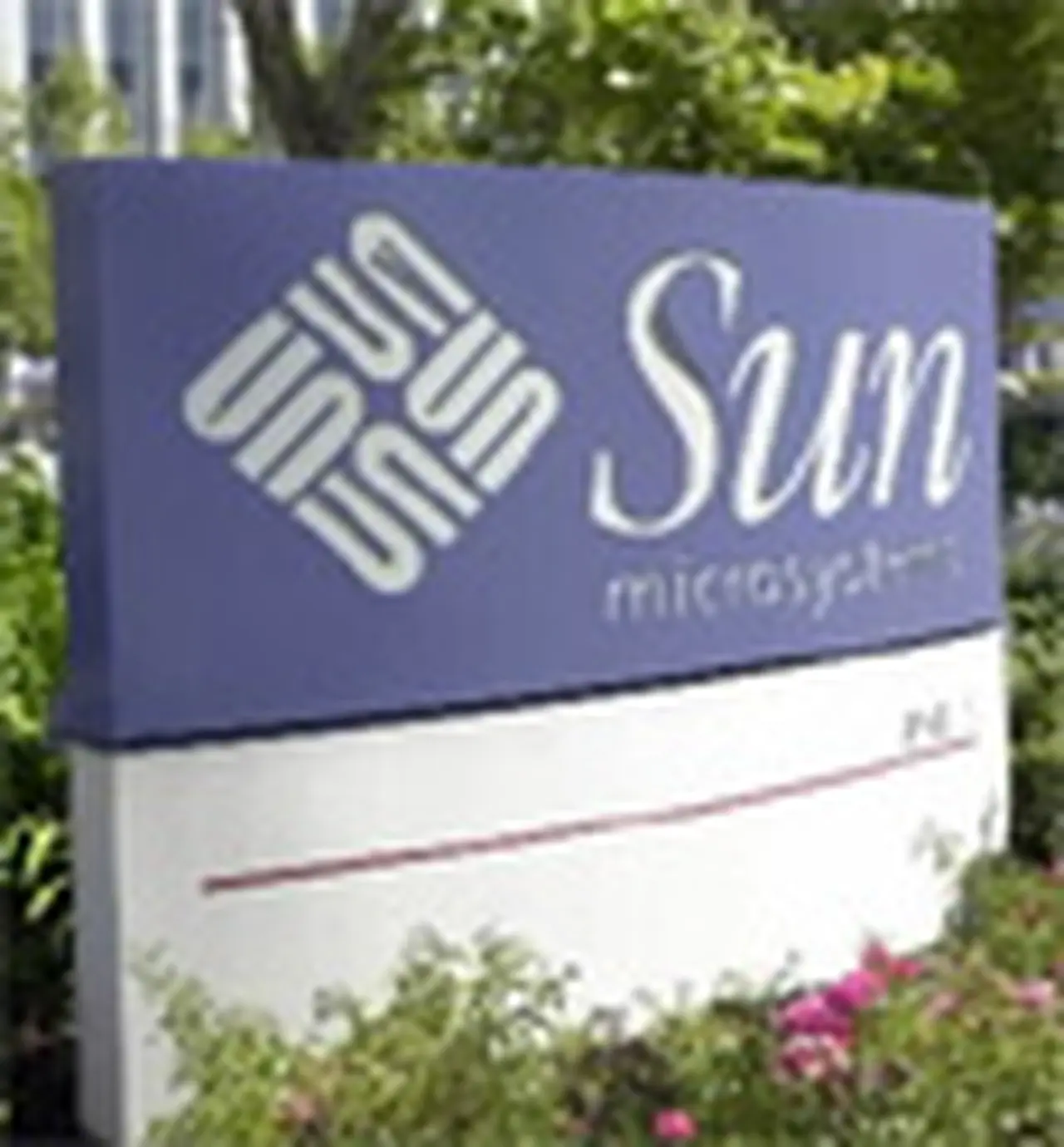 Sun Microsystems anuncia ganancias por fuertes ventas