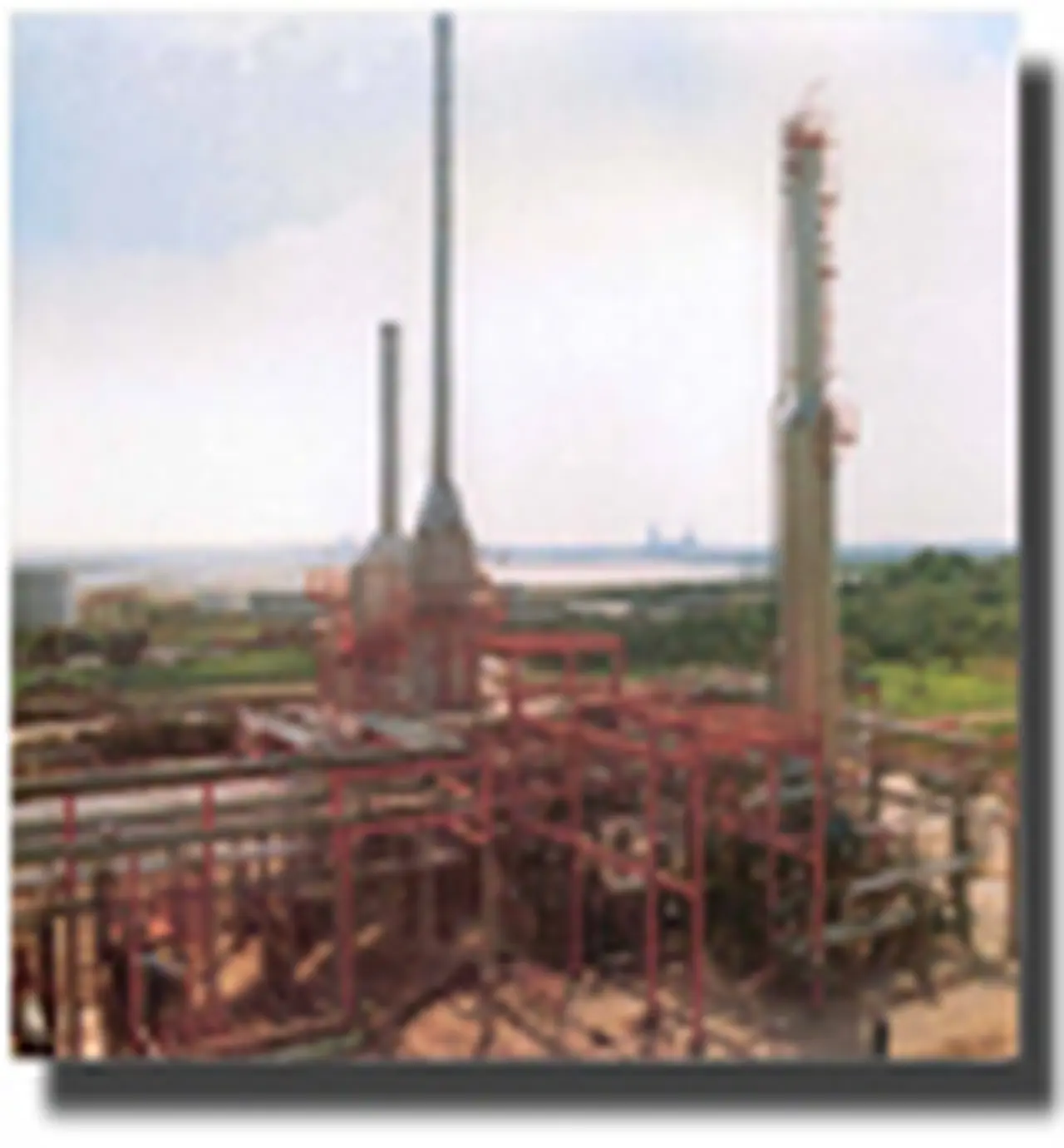 Koch y Cargill son las empresas más grandes en los EEUU