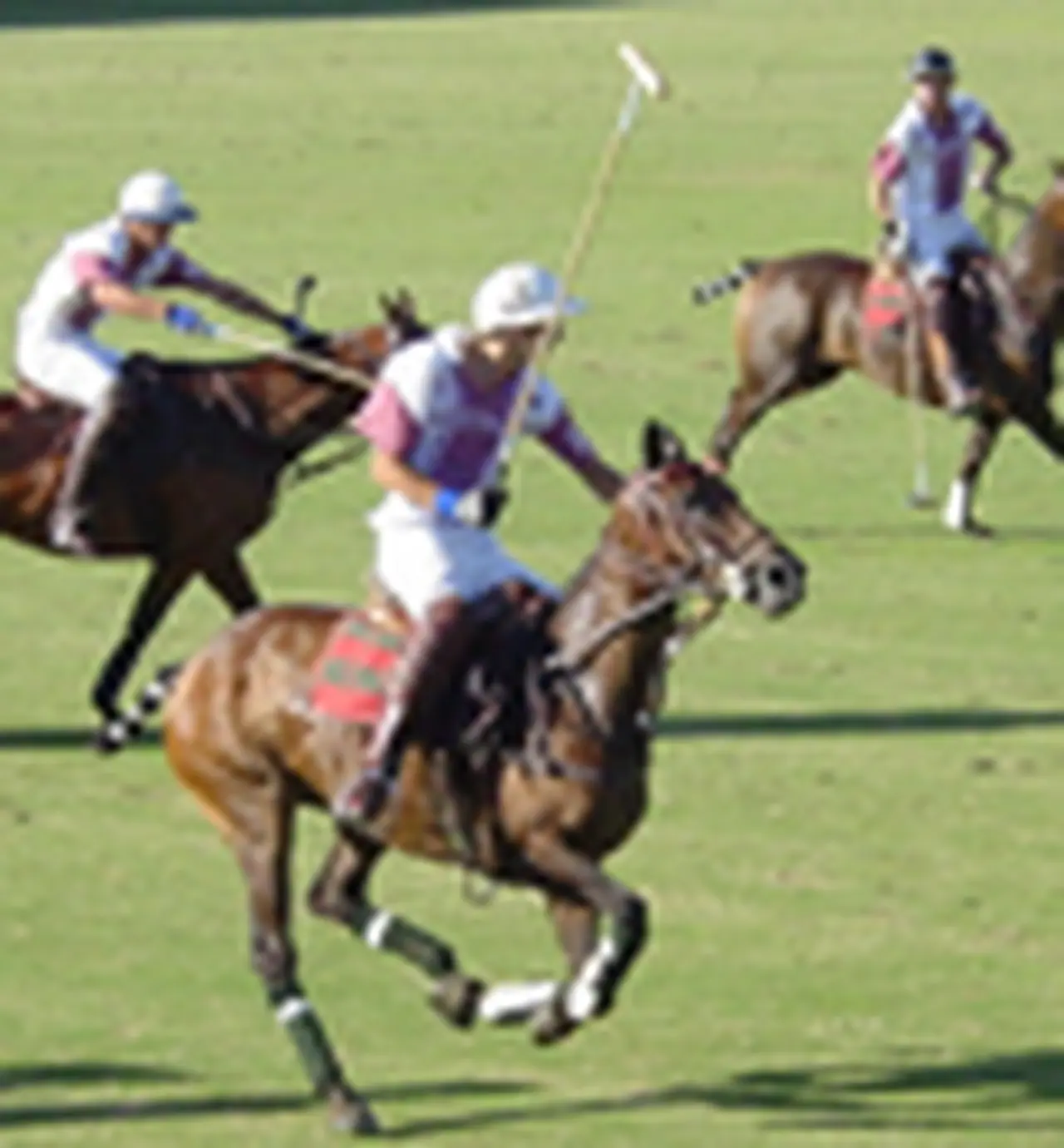 Construirán un country de polo con casas a u$s1 millón