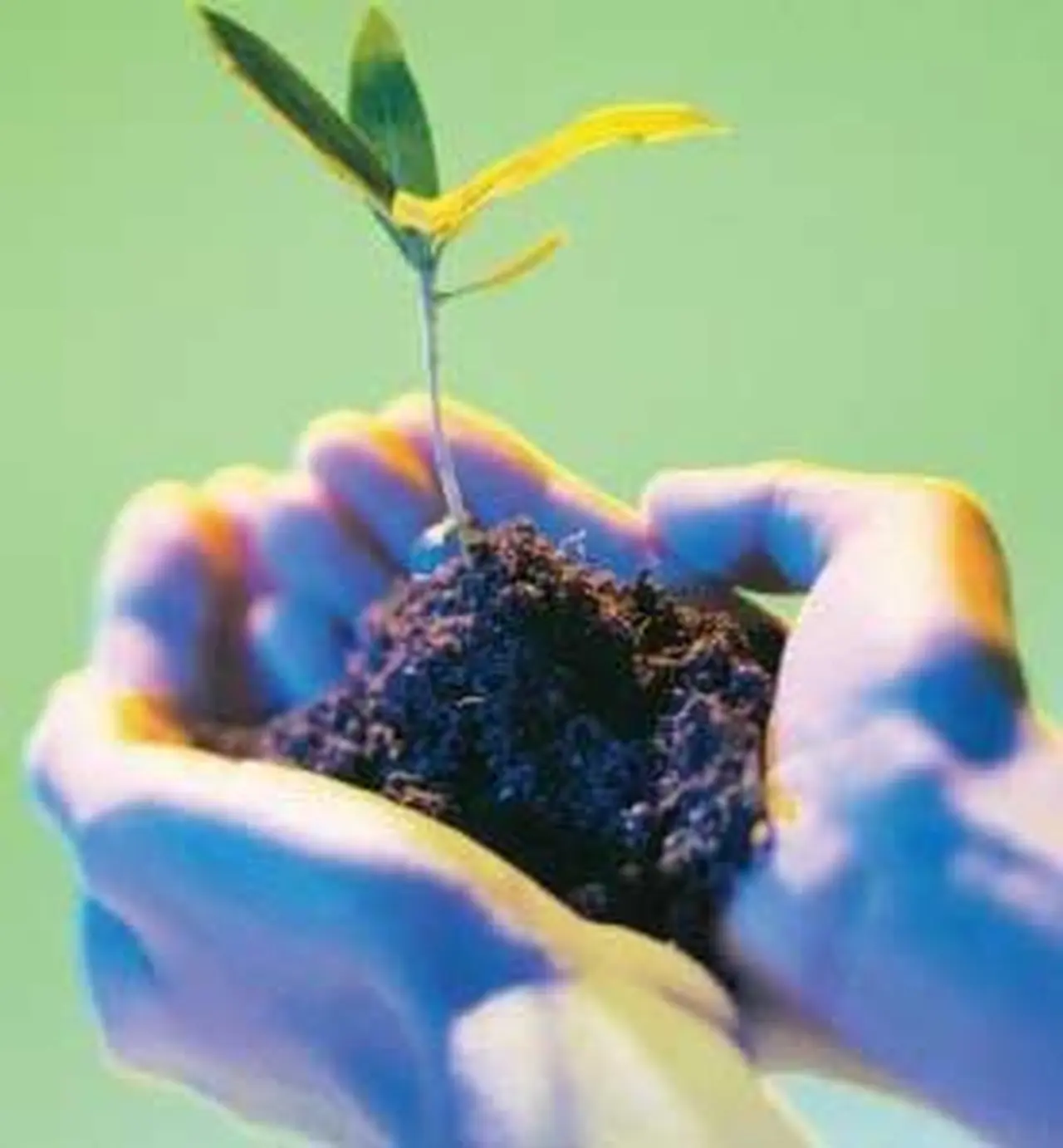 Presentan las diez tendencias que marcarán el 2008