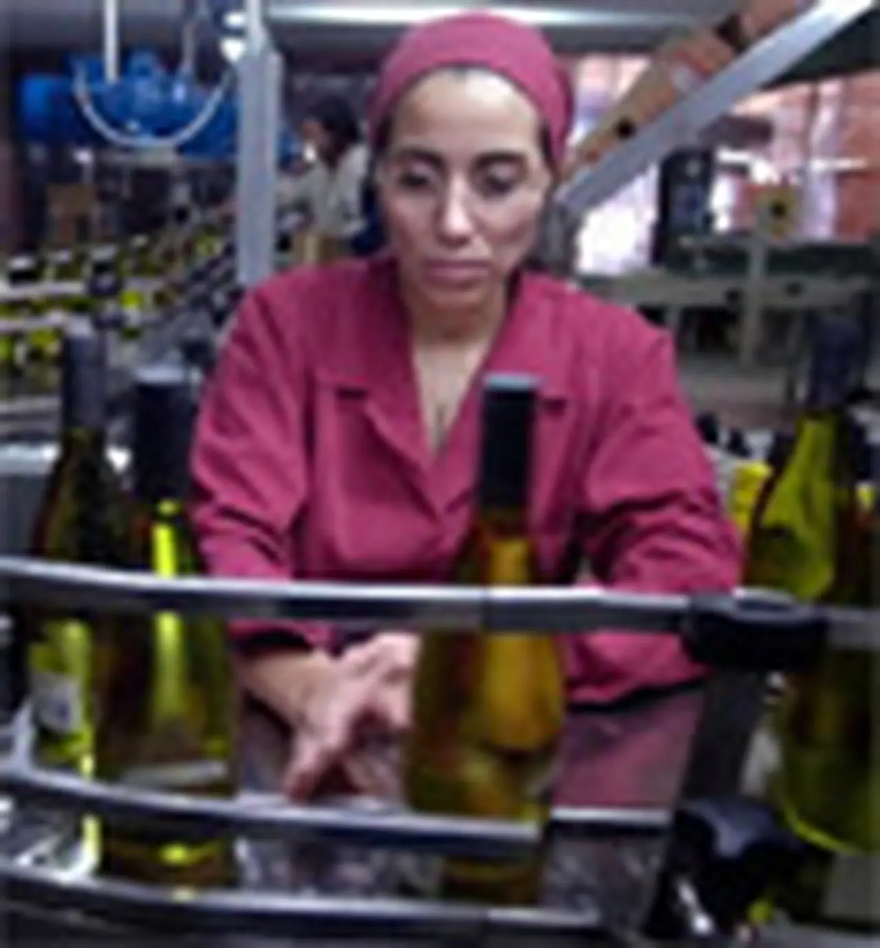 Bodegas invirtieron 500 millones de dólares en tecnologí­a