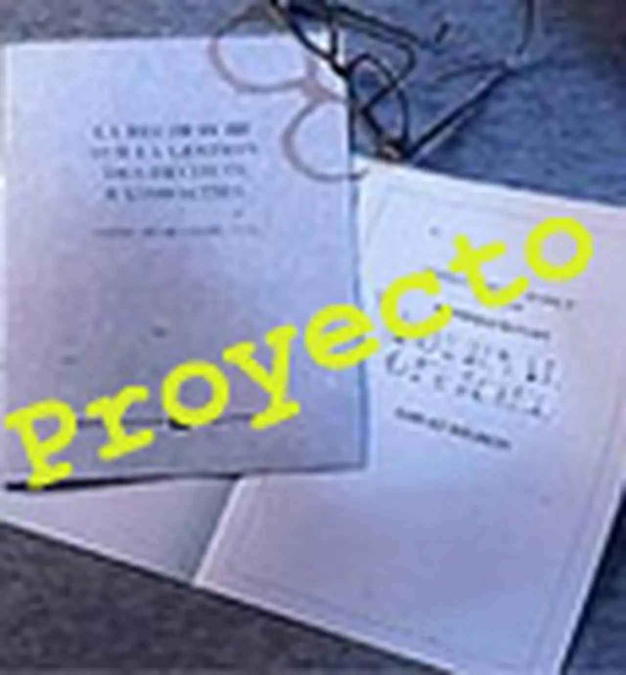 Diputados apura la prórroga de la emergencia económica