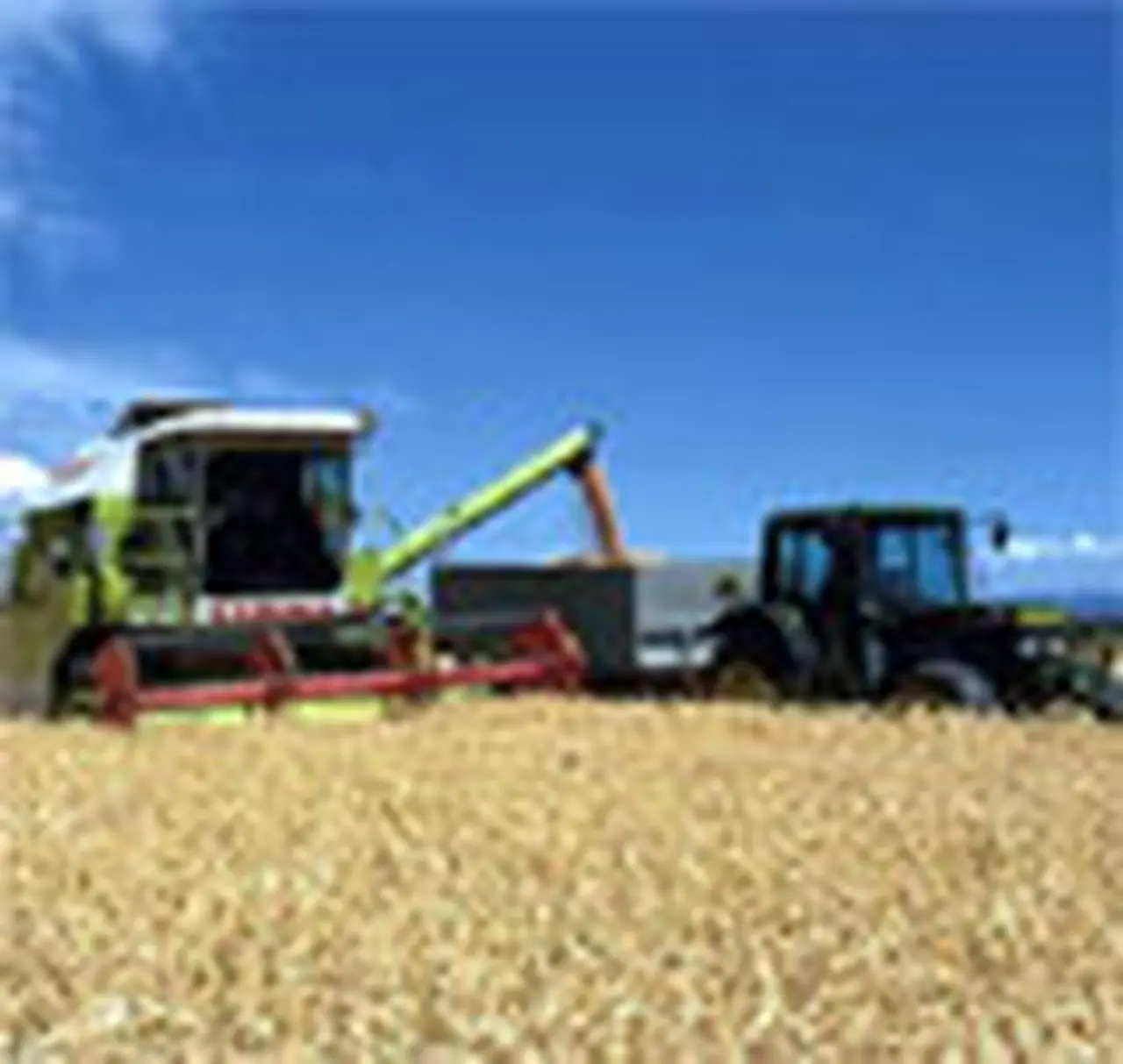 La agroindustria, el sector que sufre la mayor carga impositiva