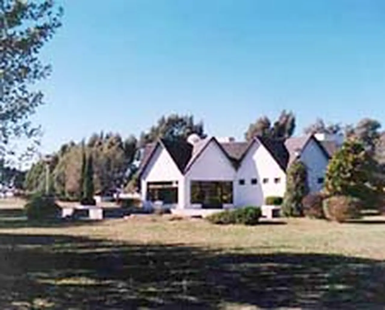 Consumidores: cuáles son las microtendencias revolucionarias