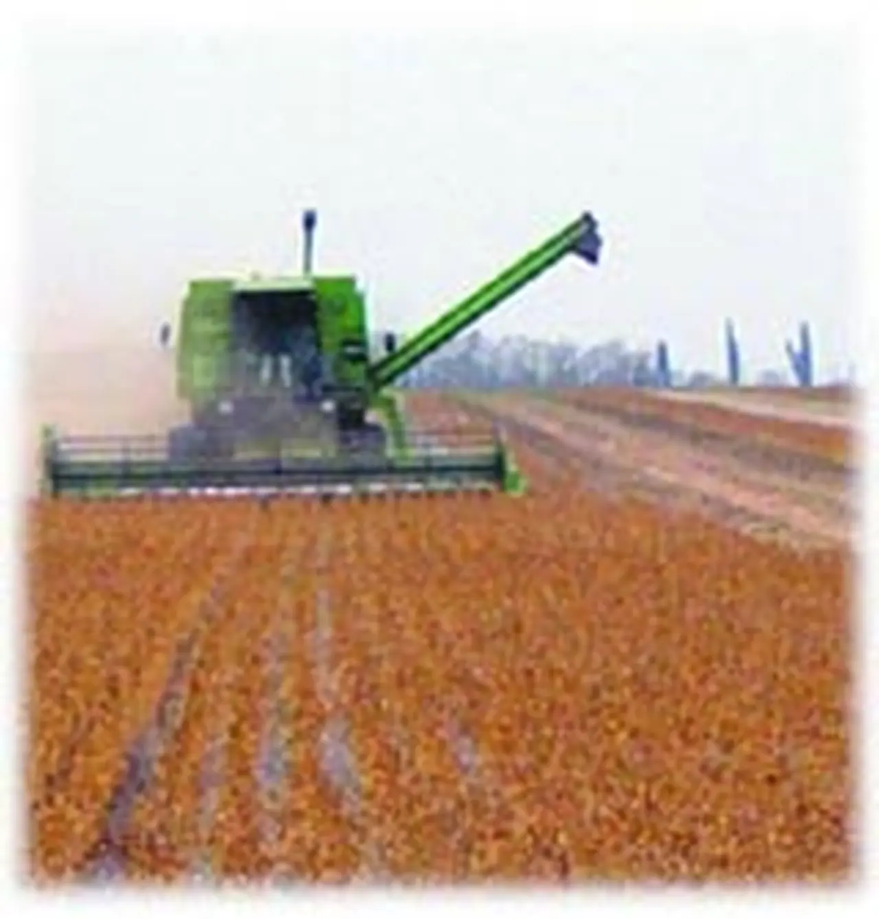 El precio de los campos subió hasta 260% desde la devaluación