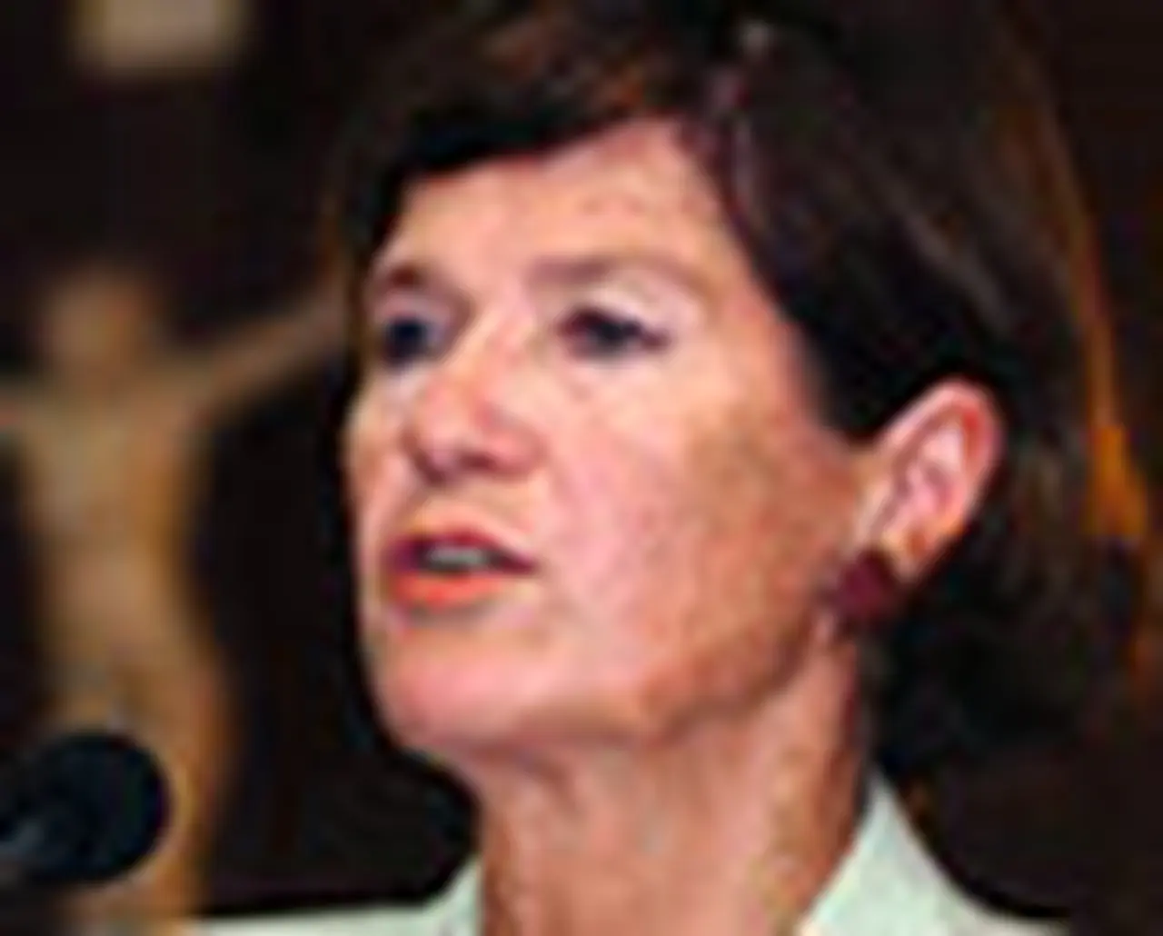 Highton pidió planificar una polí­tica contra el lavado de dinero