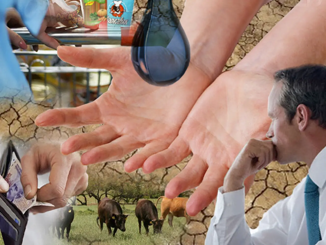 Efecto sequí­a: impactará fuerte en comercios, industrias y transportes