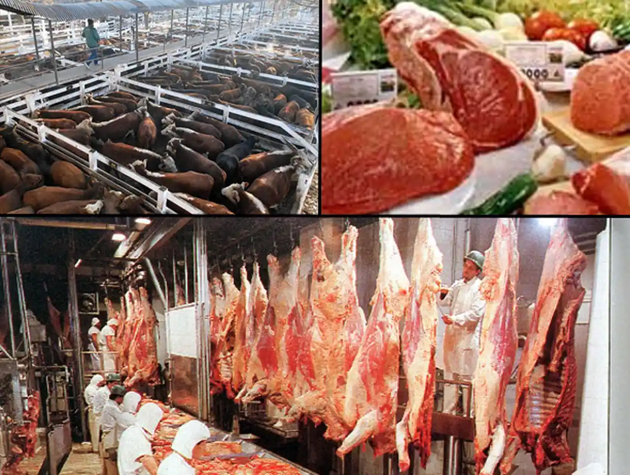 Argentina se "inmunizó" frente al rebrote de fiebre aftosa en Paraguay