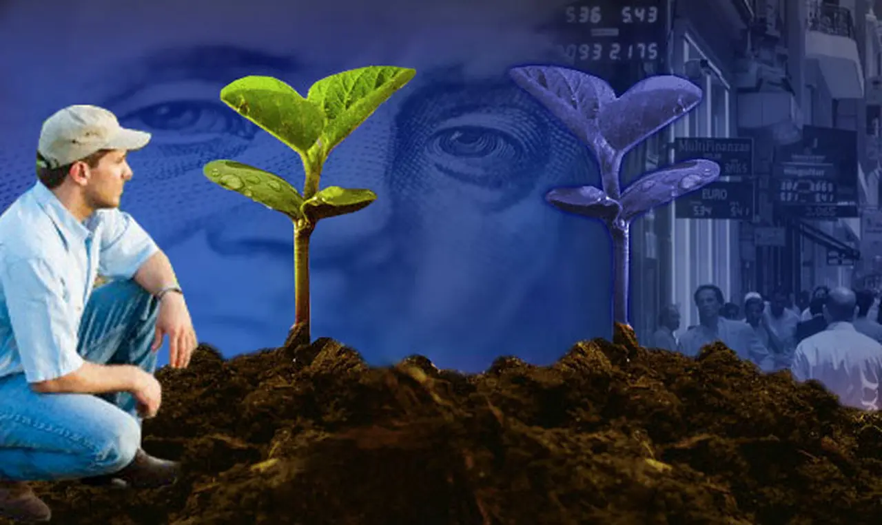 Paradojas del cepo: la soja ahora es "amiga" del blue y hará subir más al dólar paralelo