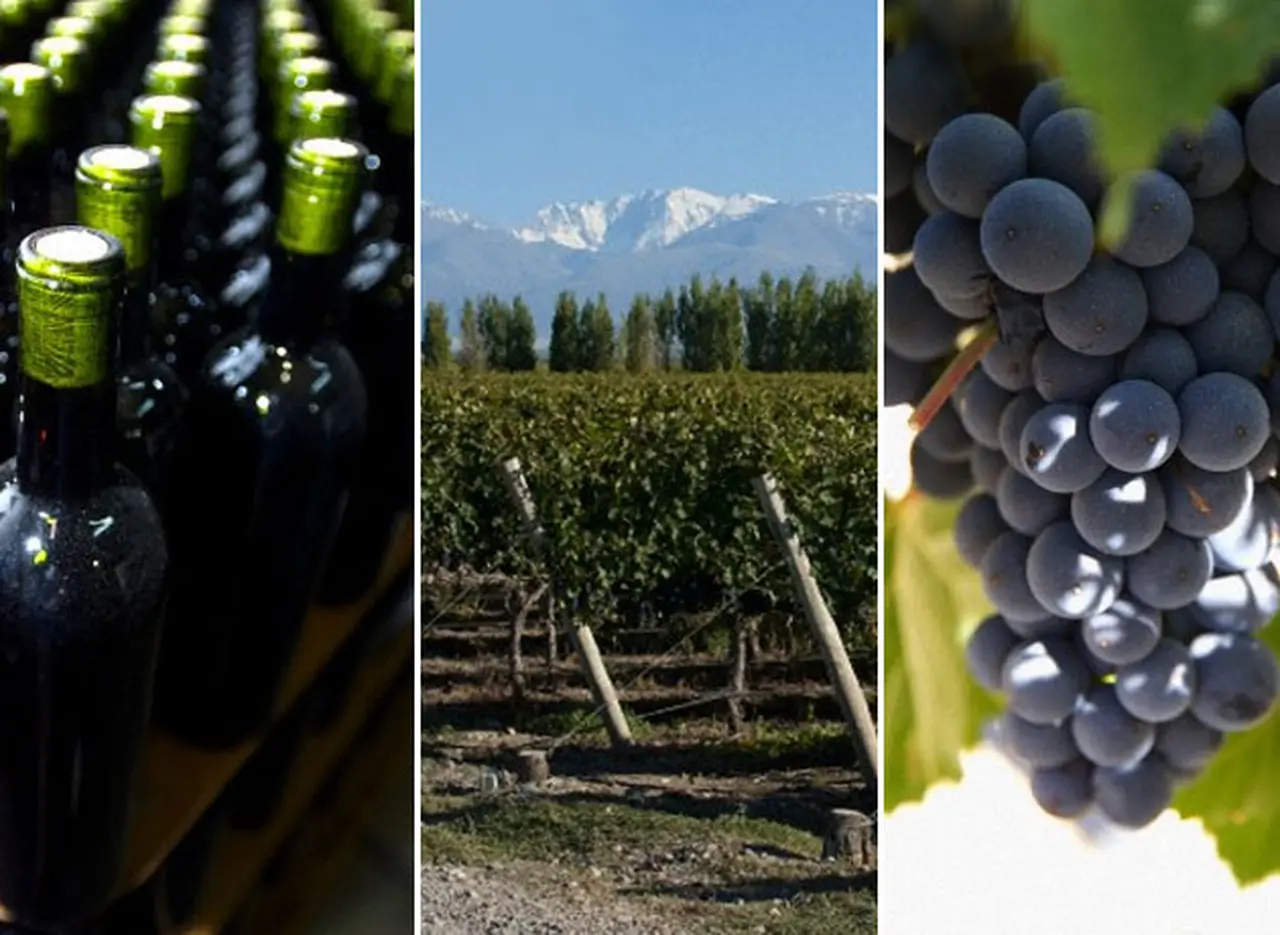 Gran desafí­o de la industria vitiviní­cola: hablar más del origen que de la variedad