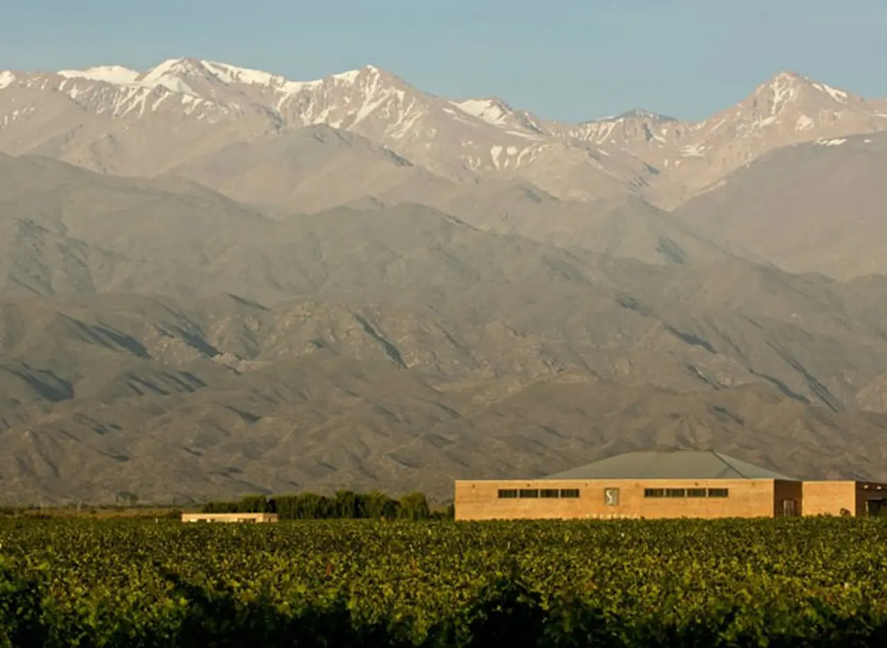 Nuevo destino para hacer turismo en Mendoza: Sophenia abrió las puertas de su bodega